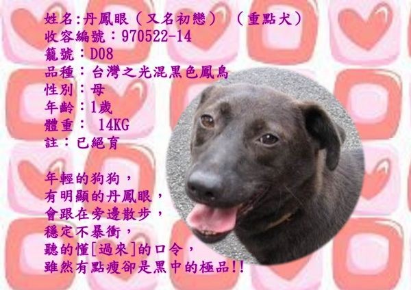 tn_丹鳳眼2.jpg