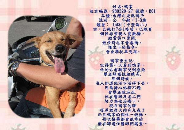 tn_鴨掌.jpg
