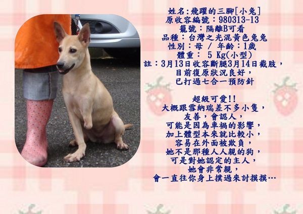 tn_小兔.jpg