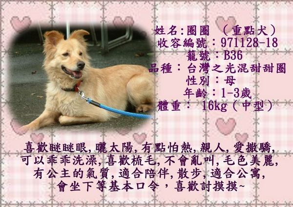 tn_圈圈介紹檔.jpg