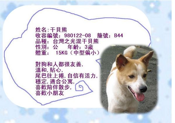 tn_甘貝熊.jpg