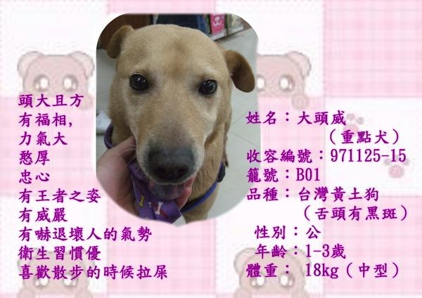 tn_大頭威.jpg
