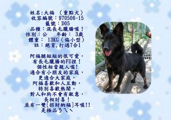 tn_大福.jpg