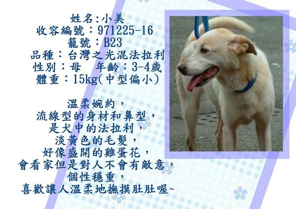 tn_小美.jpg
