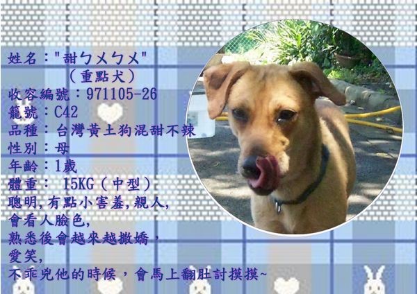 tn_甜不辣.jpg