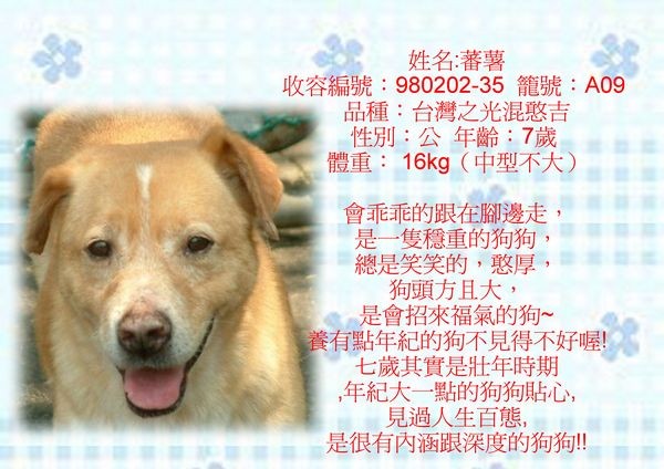 tn_蕃薯.jpg