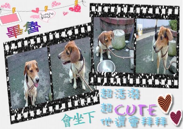 tn_畢魯(小米).JPG
