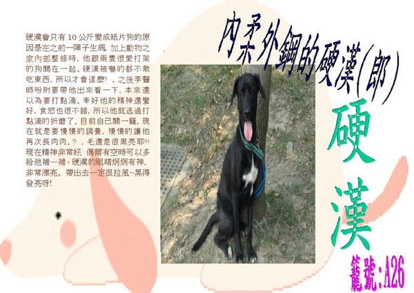 tn_硬漢(小米).JPG