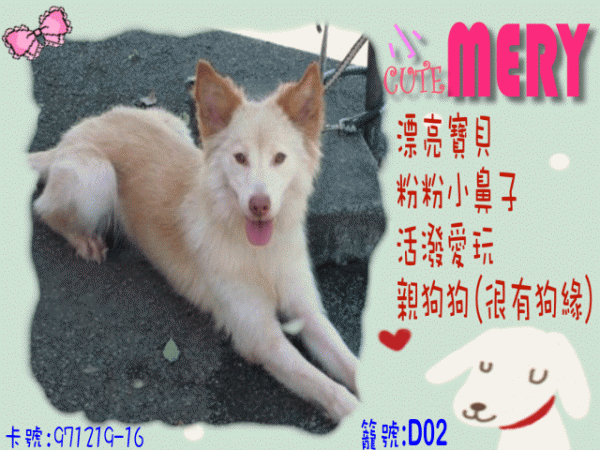 小MARY-同樂會圖.gif