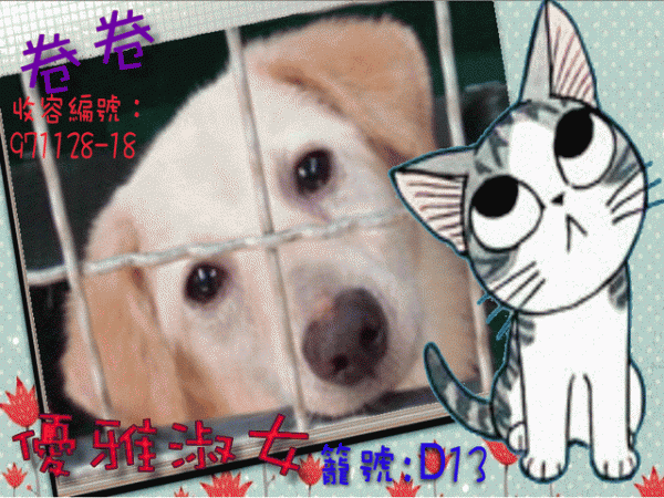 卷卷-.gif