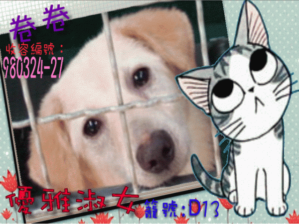 卷卷-.gif