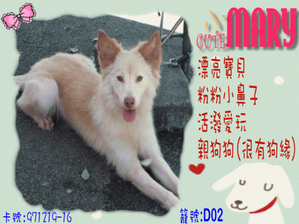 小MARY+.gif