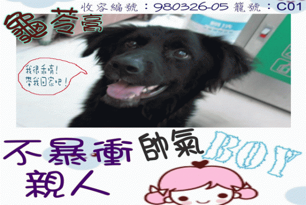 龜苓膏 - [收容編號：980326-05 籠號：C01].gif