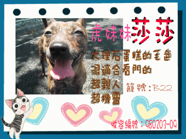 莎莎+.gif