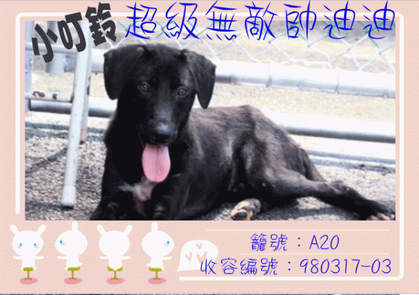 小叮鈴-.gif