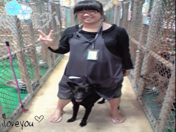 我與大黑松.gif
