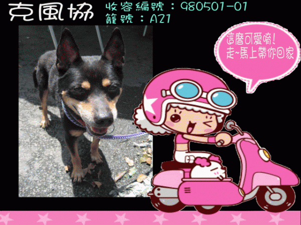 收容編號：980501-01 籠號：A21-.gif