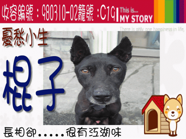 收容編號：980310-02籠號：C07.gif