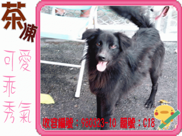 茶凍..gif