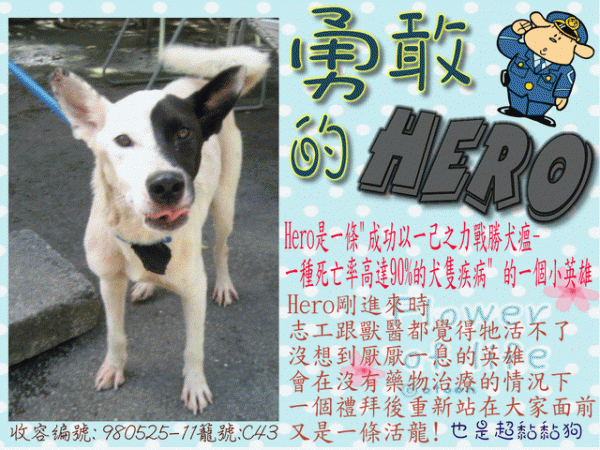 黏黏狗