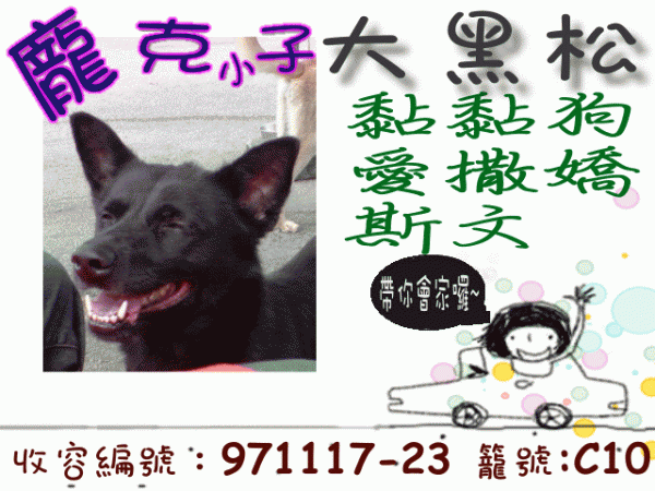 大黑松.gif