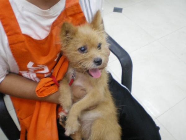 IMGP0503.JPG