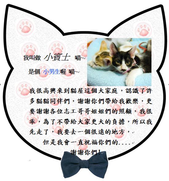 小賓士.JPG