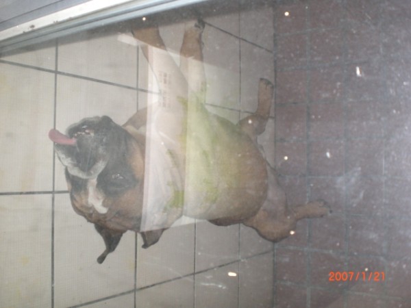 CIMG0025.JPG