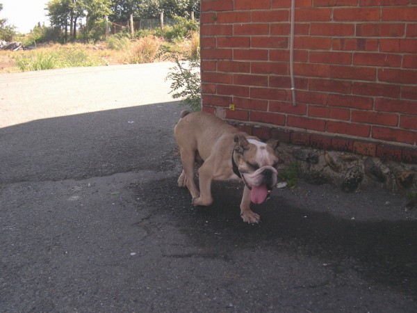 DSCN5370.jpg