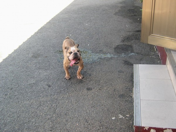 DSCN5376.jpg