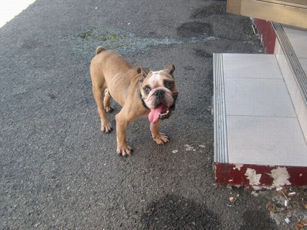 DSCN5377.jpg
