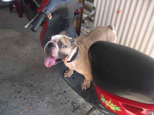 DSCN5380.jpg
