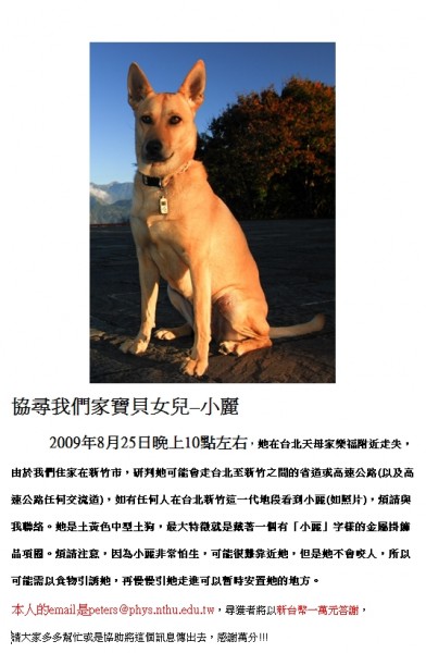 小麗2.jpg