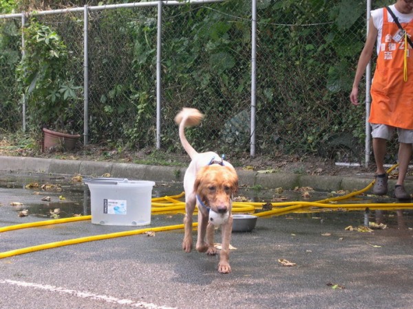 DSCN5382.jpg