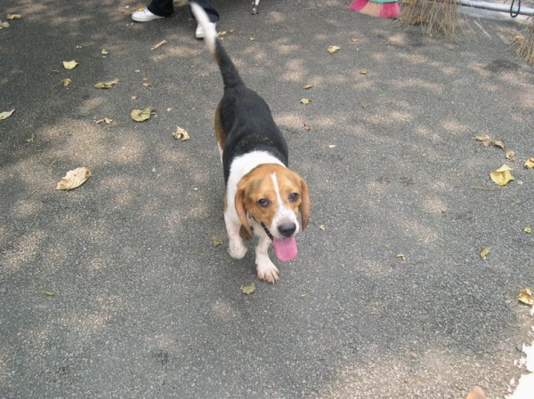 DSCN5400.jpg
