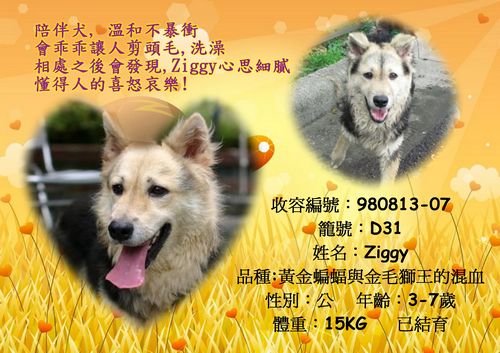 tn_毛毛ziggy.jpg