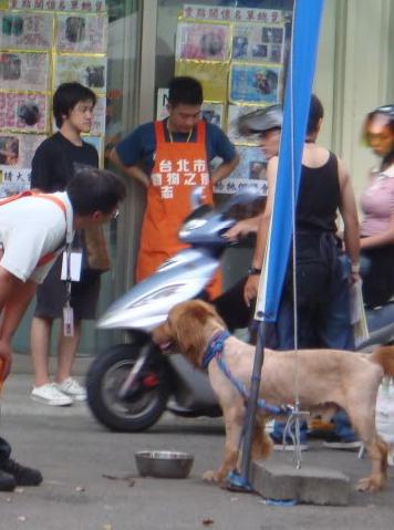 也許是一個緣分在進入動物之家時被拍了這張照片