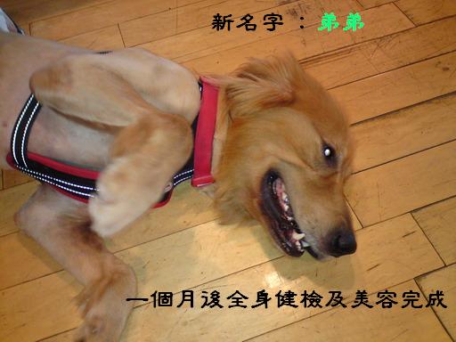 新名字