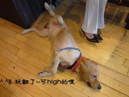 DSC00070a.jpg