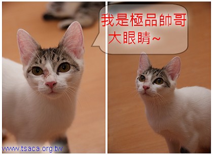 大眼睛.jpg