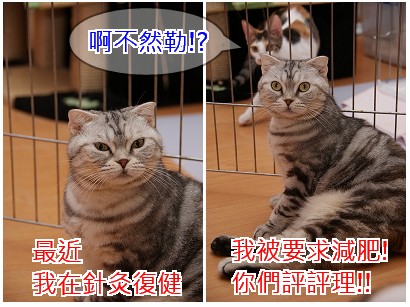 捲捲1.jpg
