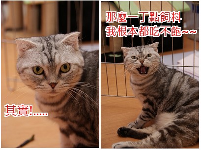 捲捲2.jpg