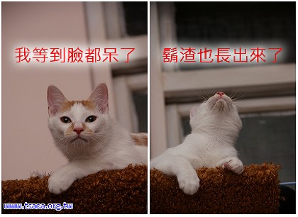 很多筒1.jpg