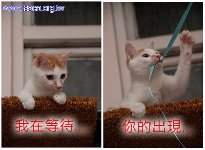 很多筒2.jpg