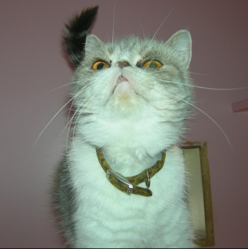 01.JPG