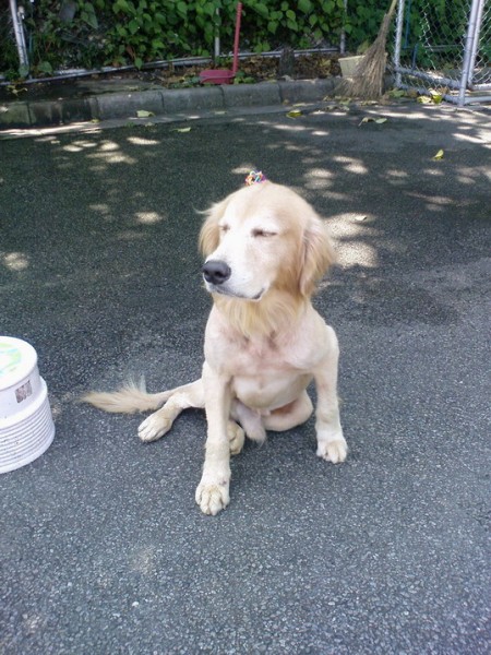 DSC00306.jpg