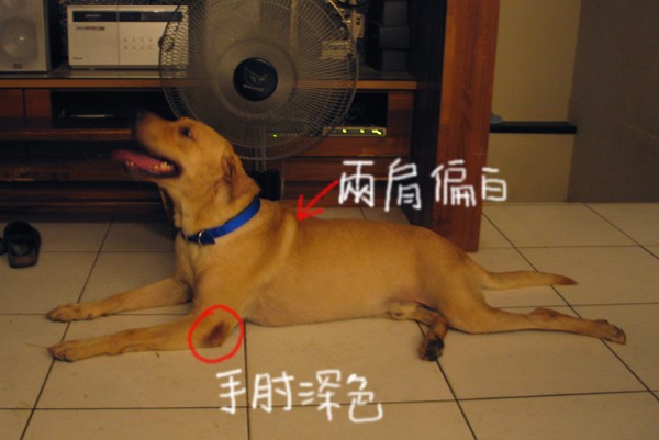 特徵.jpg