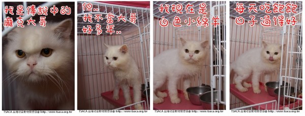 1004龐克.jpg