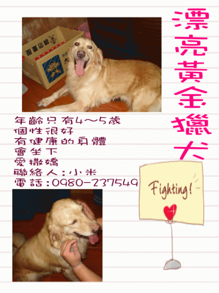 ２.gif