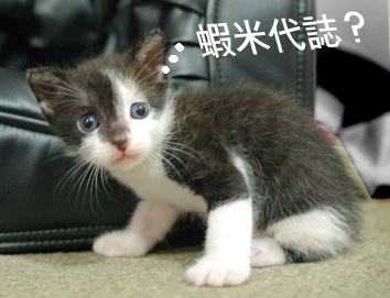 叫我有事嗎？